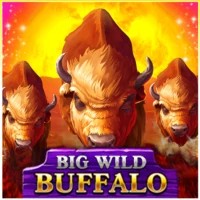 game logo by Belatra Games on zulacasino.nl